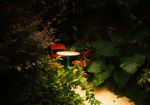 Hotel dla owadów: Wspieraj bioróżnorodność
