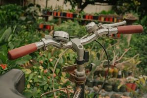 Systemy nawadniania trawnika Efektywne podlewanie ogrodu, koszenie trawy robotem.