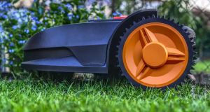 Robotyka w Ogrodzie: Koszenie trawy bez wysiłku – poznaj autonomiczne rozwiązania dla Twojego trawnika.