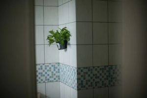 Łazienka w naturalnych odcieniach ziemi z drewnianymi elementami i zielonymi roślinami, sprzyjająca relaksowi.