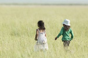 Płyty warstwowe PIR Szybka budowa domu marzeń i zdrowe powietrze w domu.