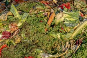 Kompostowanie – Złoto Ogrodnika: Przemień odpady w naturalny nawóz i oszczędzaj na nawozach sztucznych.