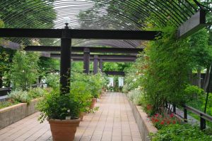 Oranżeria w domu pasywnym: Całoroczny kontakt z naturą