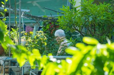 Ogród sensoryczny: Stymulacja zmysłów dla seniorów