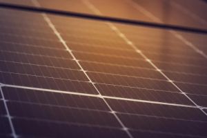 Efektywne podlewanie ogrodu: systemy nawadniania zasilane energią słoneczną.