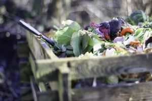 Kompostowanie w Ogrodzie: Rewolucja w Ekologicznym Nawożeniu – Nowe Systemy.