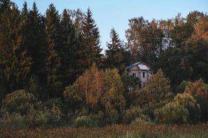 Drewno na elewacji: Wybór gatunków i impregnacja, by Twój dom był piękny i odporny na jesienne warunki.