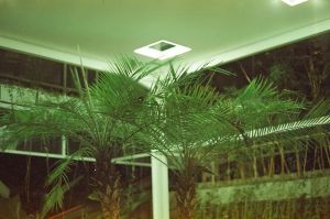 Nowoczesny system hydroponiczny z oświetleniem LED w domu
