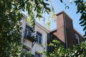 Dom z Duszą Latem: Integracja z naturą i biofiliczny design w praktyce.