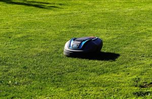 Robot Koszący Trawę: Technologia dla idealnego trawnika bez wysiłku.