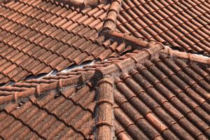 Membrany dachowe: Fizyka ochrony przed wilgocią – klucz do suchego i zdrowego poddasza.