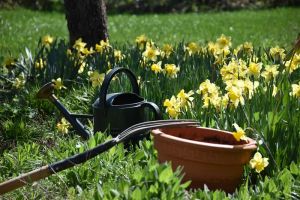 Wiosenne inspiracje: Nowe projekty DIY