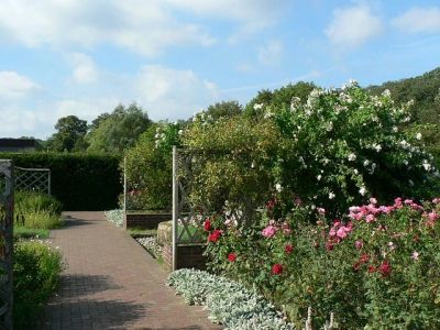 Ścieżka sensoryczna w ogrodzie z naturalnych materiałów