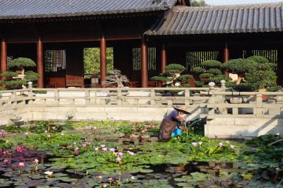 Ogród sensoryczny: Jak stworzyć przestrzeń, która koi zmysły latem.